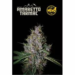 Amaretto Tarmac Auto, Фасовка: 1